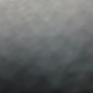 Meet your Posher, Sebastian